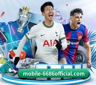 6686体育 APP